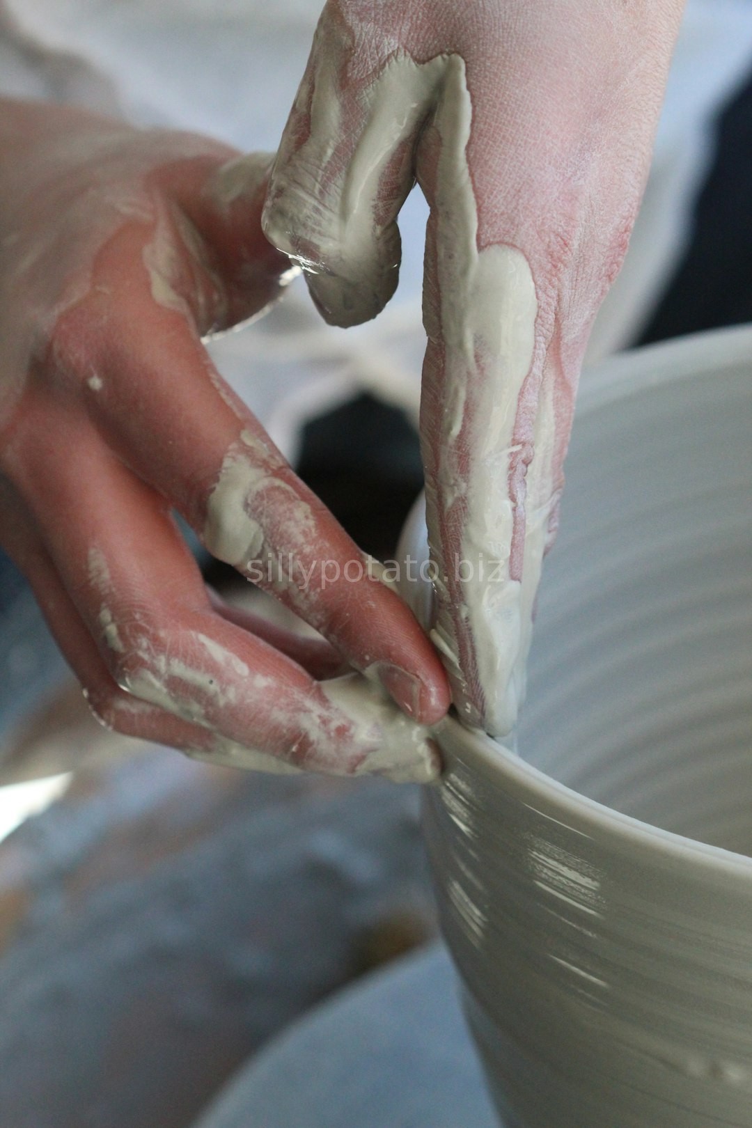 Artisan Craftsmanship